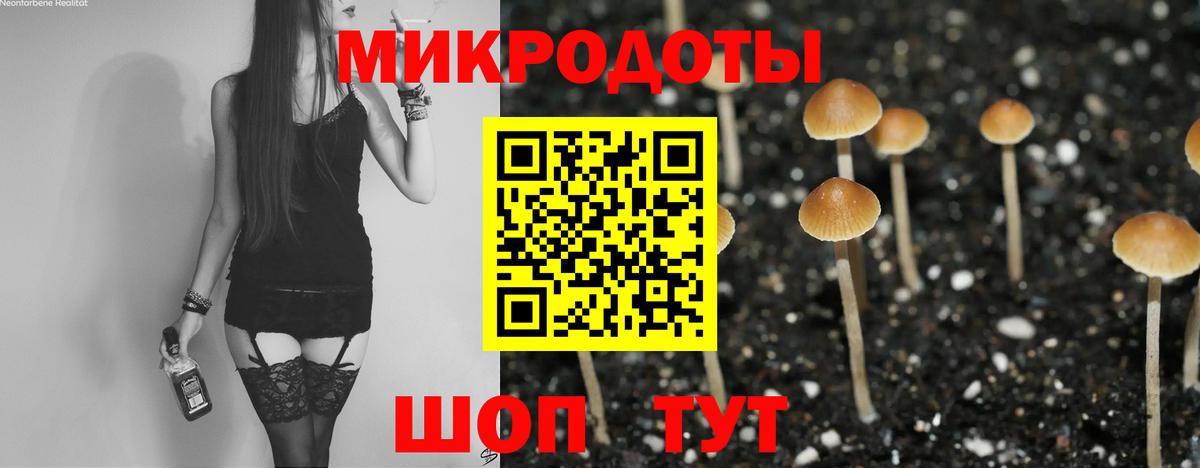 Псилоцибиновые грибы мицелий Баксан